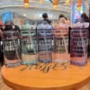 S1de810ca3c464bebbe35120bf22f3597Z.webp Botella 2L con Sorbete para Mujeres y Fitness - Werlivo Republica Dominicana